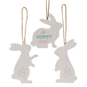 Oh Hoppy Day Easter Bunny Ornament  (3 Count Assortment)