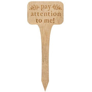 Pay Attention to Me House Plant Poke  (4 Count Assortment)