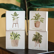 Love Grows Here House Plant Square Block  (4 Count Assortment)