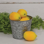 Fresh Lemon Bowl Fillers (Set of 6)