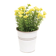 Yellow Astilbe Flowers in White Metal Garden Bucket