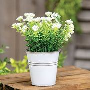 White Astilbe Flowers in White Metal Garden Bucket