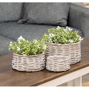 Graywashed Willow Planters (Set of 3)