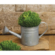 Natural Zinc Watering Can