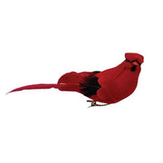 Velvet Feather Cardinal Clip