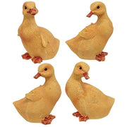 Resin Ducklings (Set of 4)