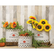 Farm Fresh Pumpkins Oval Buckets (Set of 3)