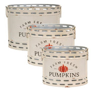 Farm Fresh Pumpkins Oval Buckets (Set of 3)