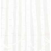 White Birch Tissue Paper (240 Pack)