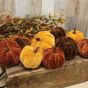 Velvet Harvest Pumpkins (9 per Bag)