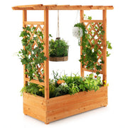 Raised Garden Bed with Trellis or Climbing Plant and Pot Hanging-Natural - Color: Natural