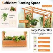 Raised Garden Bed with Trellis or Climbing Plant and Pot Hanging-Natural - Color: Natural