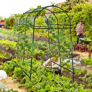 7.5 Feet Garden Arch Trellis with PE Coated Metal Structure