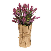 Paper Wrapped Lavender Pot  (3 Count Assortment)