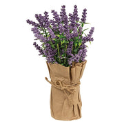 Paper Wrapped Lavender Pot  (3 Count Assortment)