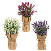 Paper Wrapped Lavender Pot  (3 Count Assortment)