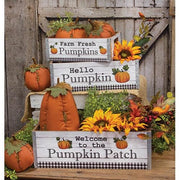 Welcome to the Pumpkin Patch Crates (Set of 3)