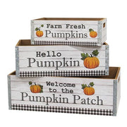 Welcome to the Pumpkin Patch Crates (Set of 3)