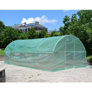 10 x 6.5 x 20 Feet 8 Windows Backyard Walk-in Greenhouse