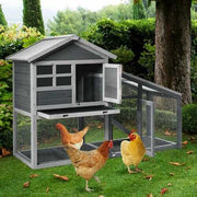 Wooden Rabbit Hutch with Unique Slant Sunlight Panel and Ventilation Door