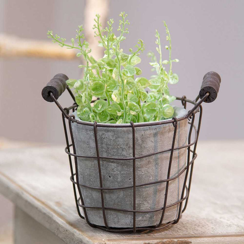 Classic Cement Planter with Rustic Wire Basket