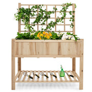 Raised Garden Bed Elevated Wooden Planter Box with Trellis