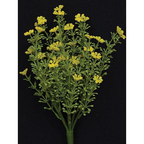 Yellow Astilbe Bush - 10.5"